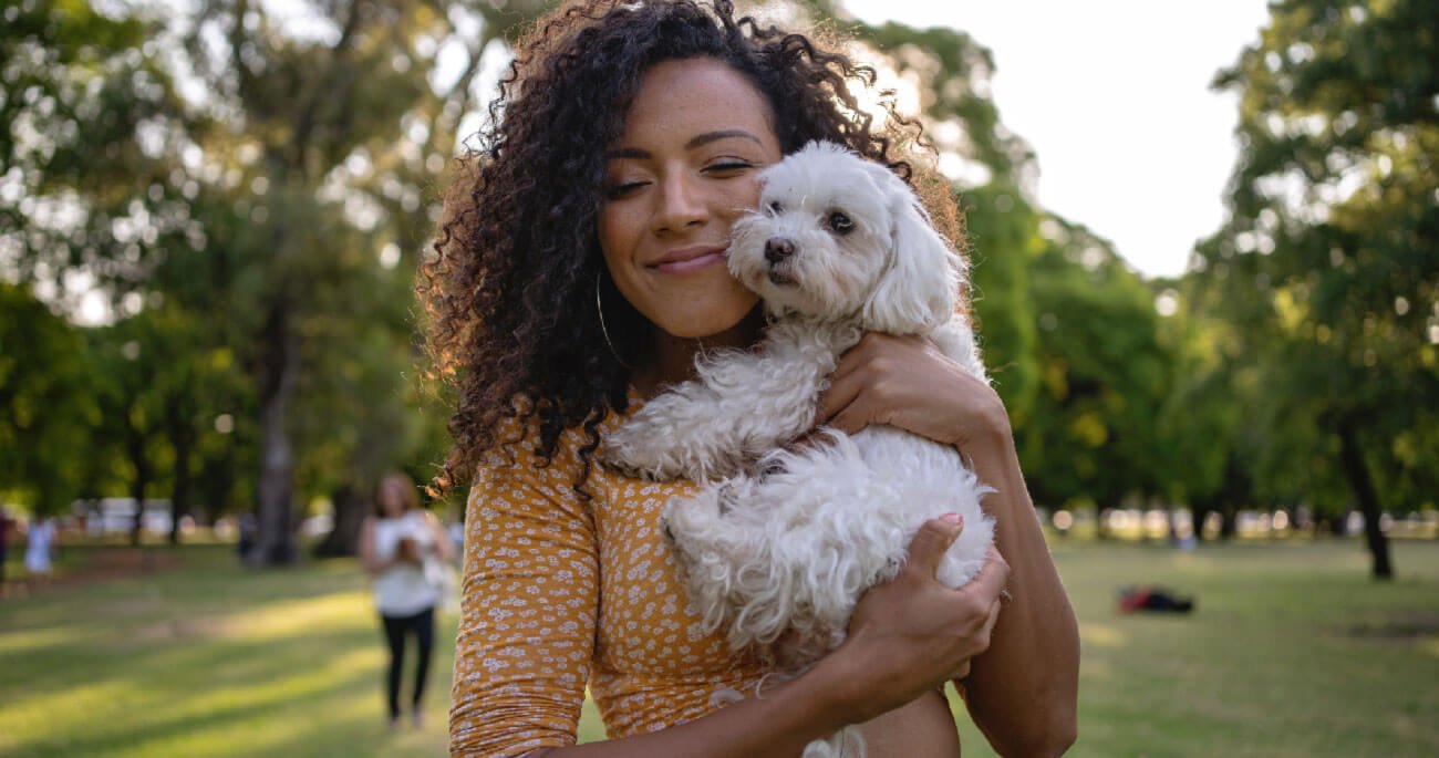 Why walking shelter dogs