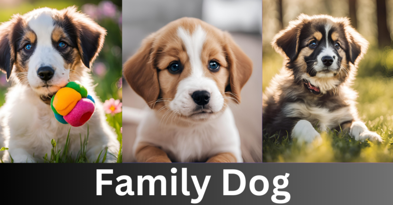 family dog best dog breeds